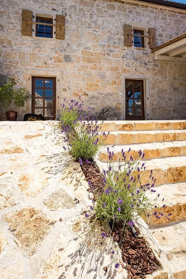 Semesterbostad Stone House Dijana Istria Sveti Lovrec Villa Sveti Lovreč Pazenatički Kroatien